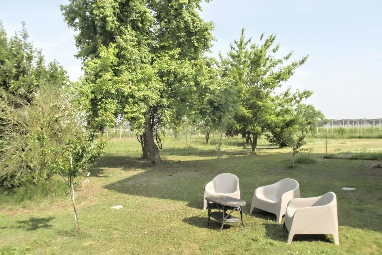 L'Andito Carpi Exteriör bild